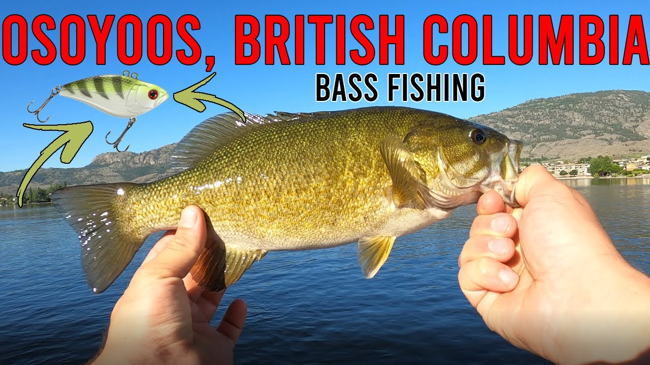 Bass fishing, Osoyoos Lake - She caught a MONSTER & we crossed the border #new #fishing #bassfishing