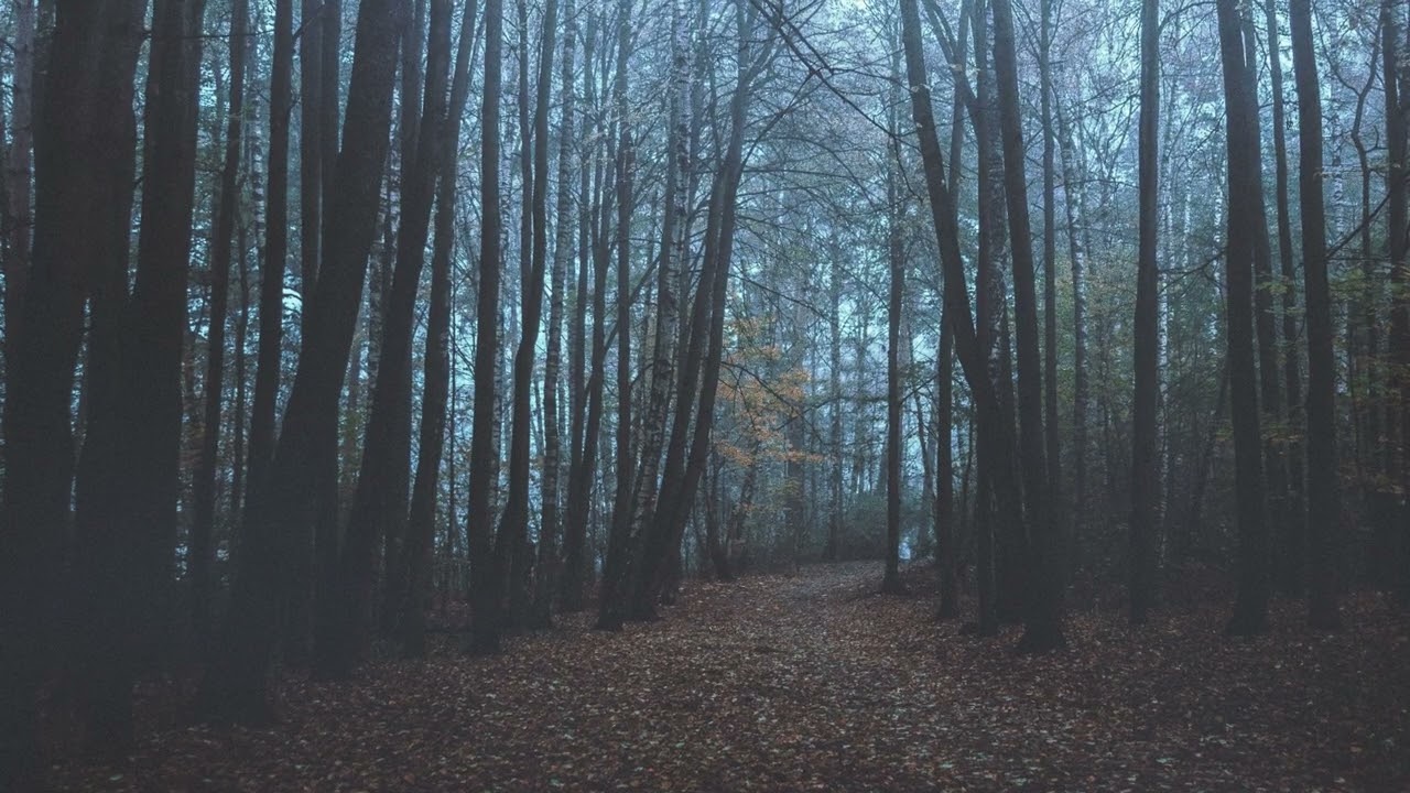 Path of solitude.
