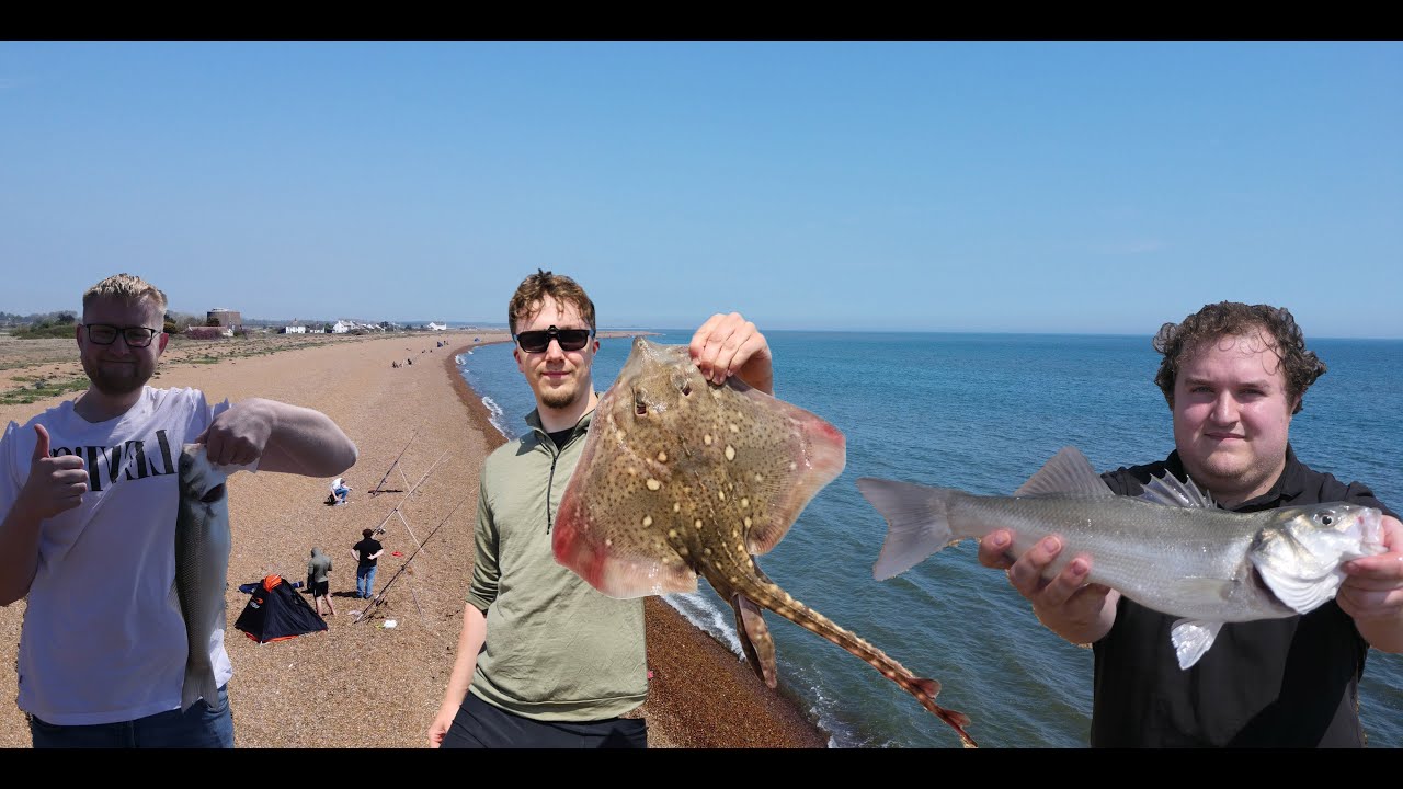 Beach Fishing at Shingle Street, Suffolk | Big Bass, Rays & More! |