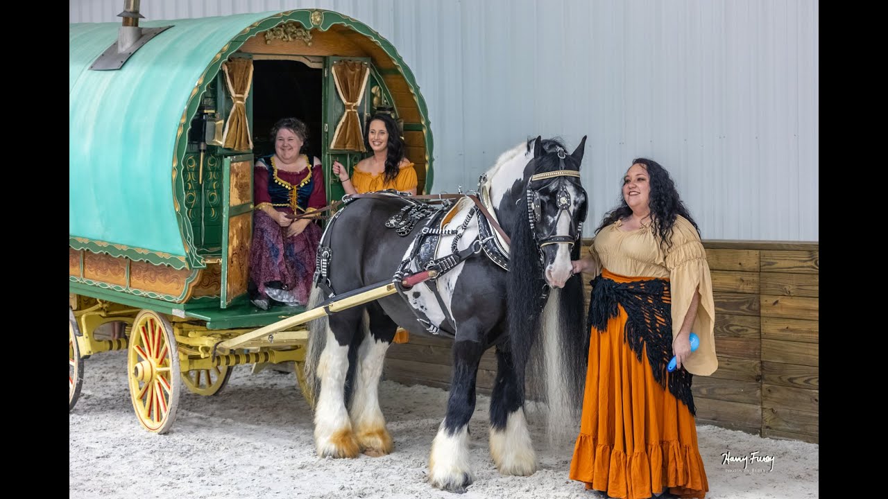 GYPSY VANNER 25th ANNIVERSARY CELEBRATION-OCALA,FLORIDA AT THE WORLD EQUESTRIAN CENTER