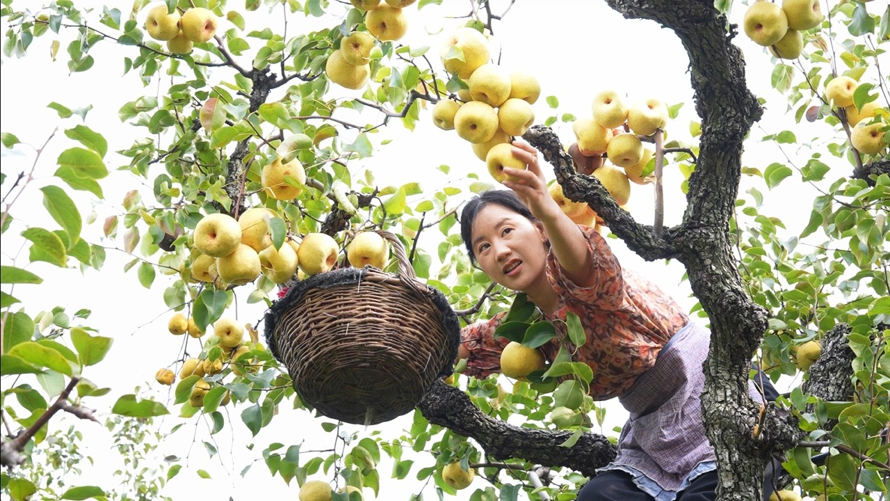 Autumn Pear Paste | The pear paste is the sweetness accumulated in Dangshan pears for a whole year.