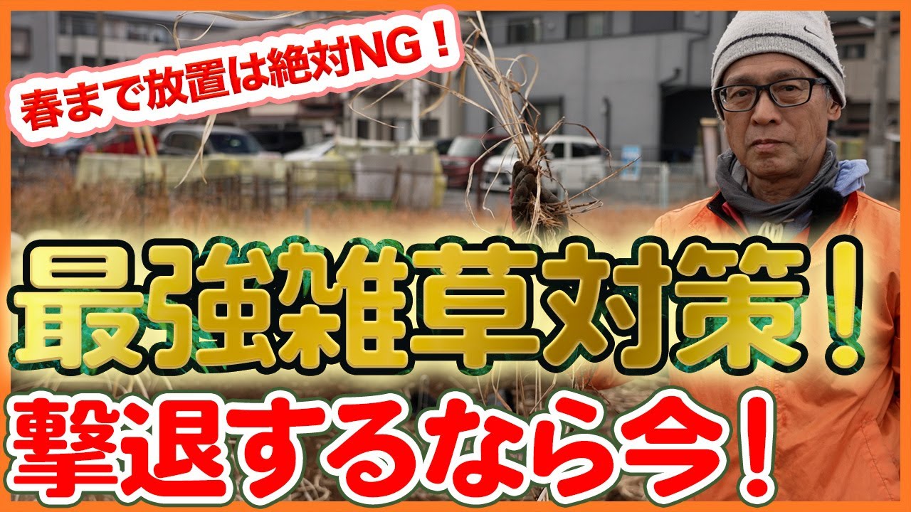 冬が勝負！放っておくと危険な雑草を今すぐ撃退する方法を解説！【シェア畑】【農園ライフ】