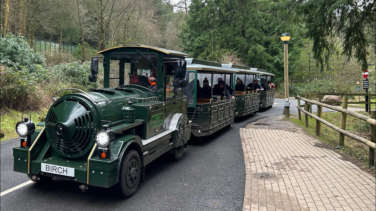 Center Parcs Train 🚂 journey around the pine 🌲 forest 🌳...