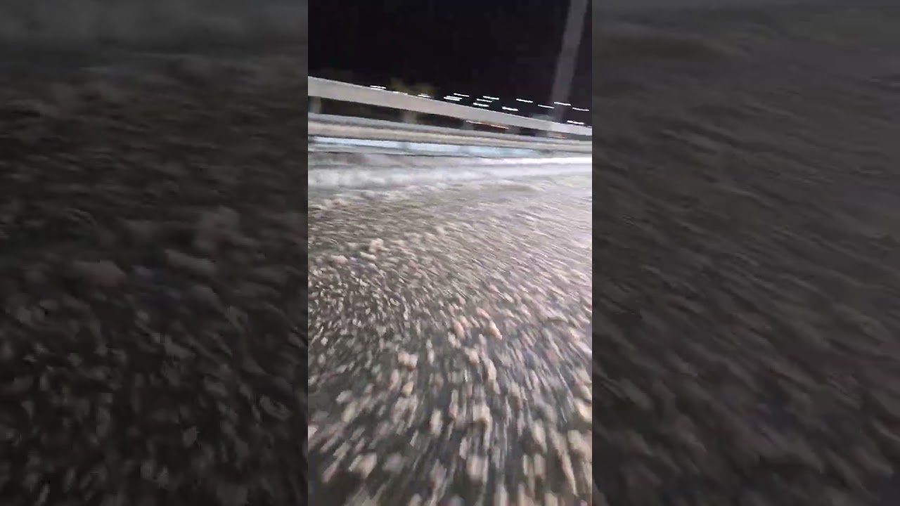 Polei pe podul de la Păulești, &icirc;n Prahova