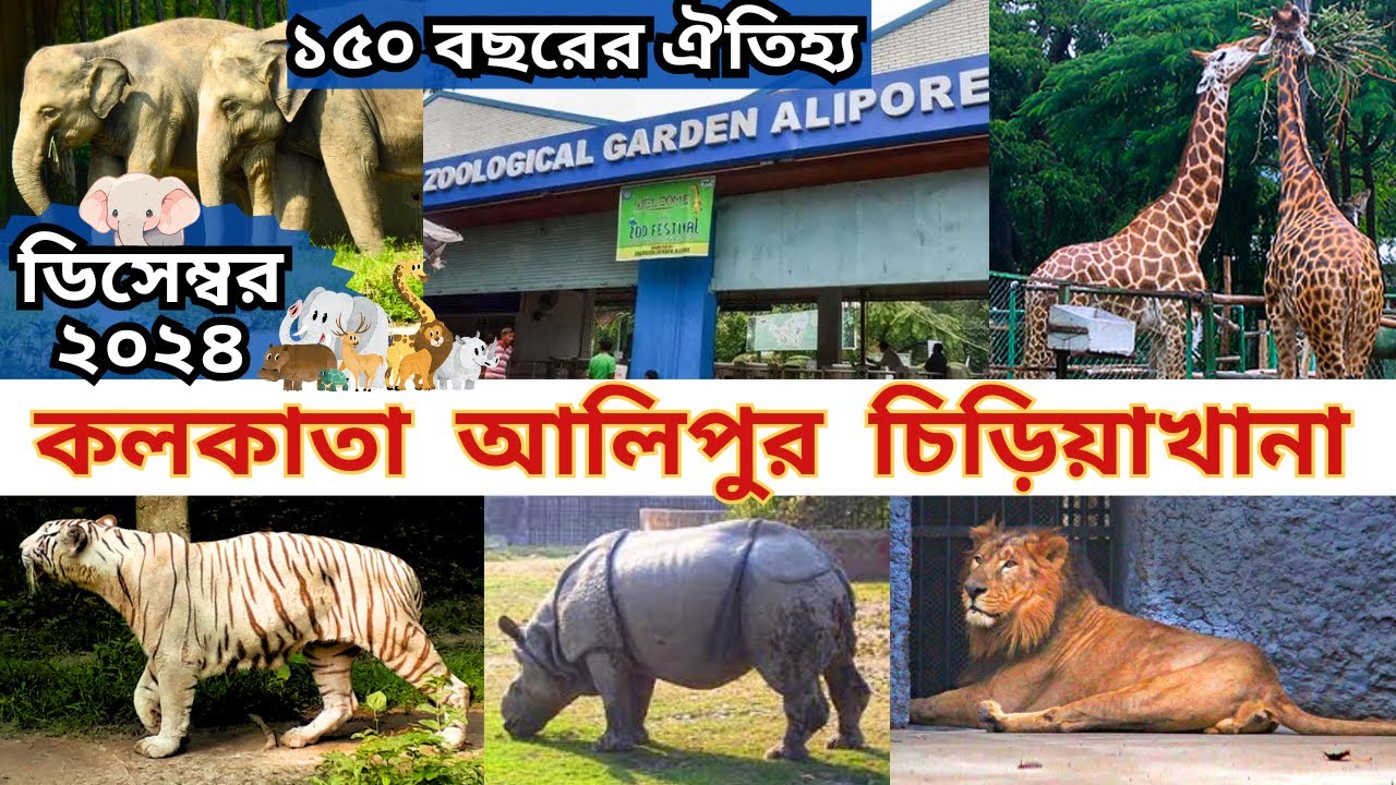 Alipore Zoo | Kolkata Zoo | Alipore Zoo Ticket Price |Alipore chiriyakhana New Update | Zoo |