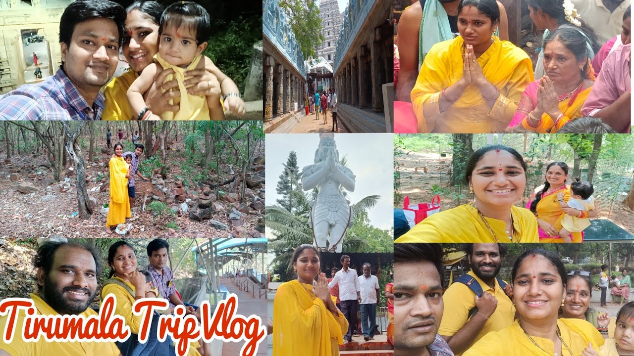 Tirumala trip |  మొక్కు తిరుకోవడం కోసం తిరుమలకి వెళ్తున్నాం| Harikamanubolu vlogs|Trending| Tirumala