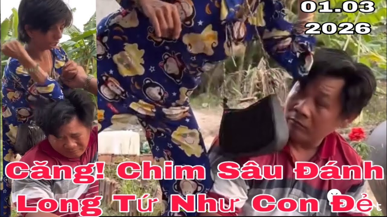 Căng Chim Sâu Đánh Long Tứ Như Con Không Đẻ #giadinh #yeucuocsong #thinhhanh #mientay 