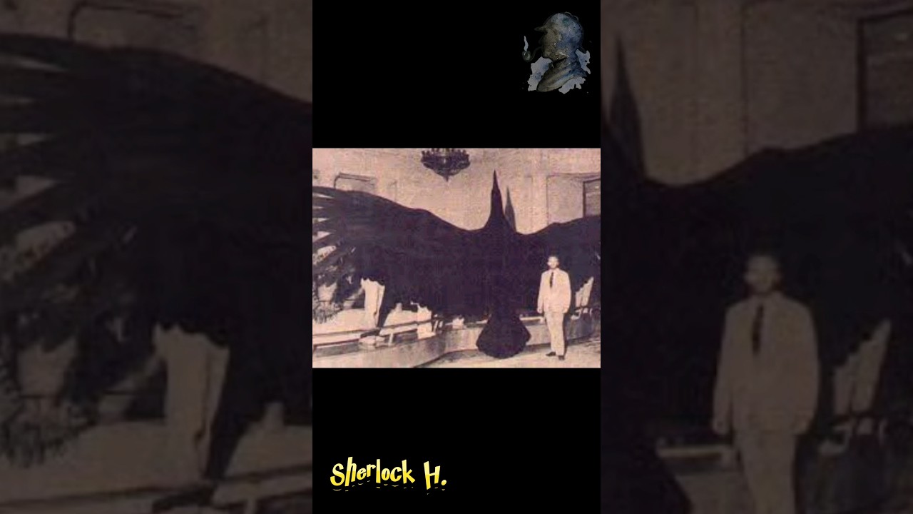 animales extintos captados en c&aacute;mara #sherlockholmes #documental #animal #animales #viral #shorts