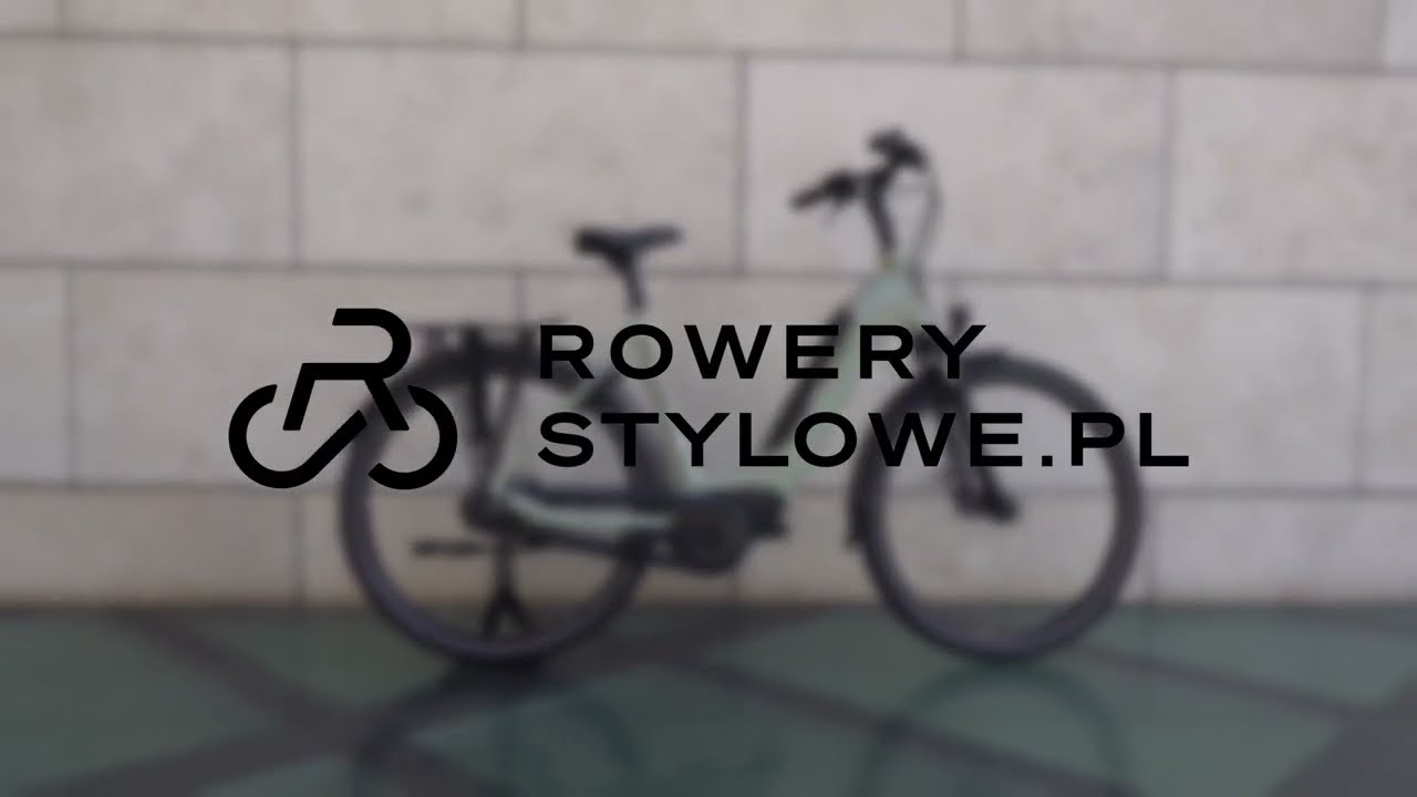 Rower elektryczny Batavus Velder E GO POWER BOSCH - z ramą  niskim wejściu