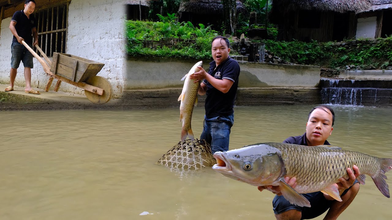 Exceptional Survival Skills &ndash; Duong Used Only a Bamboo Tool to Catch a Giant Fish in a Large Pond