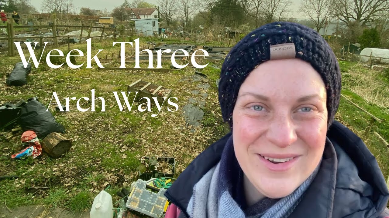 Allotment Basics|wk3|learning weeds installing arches