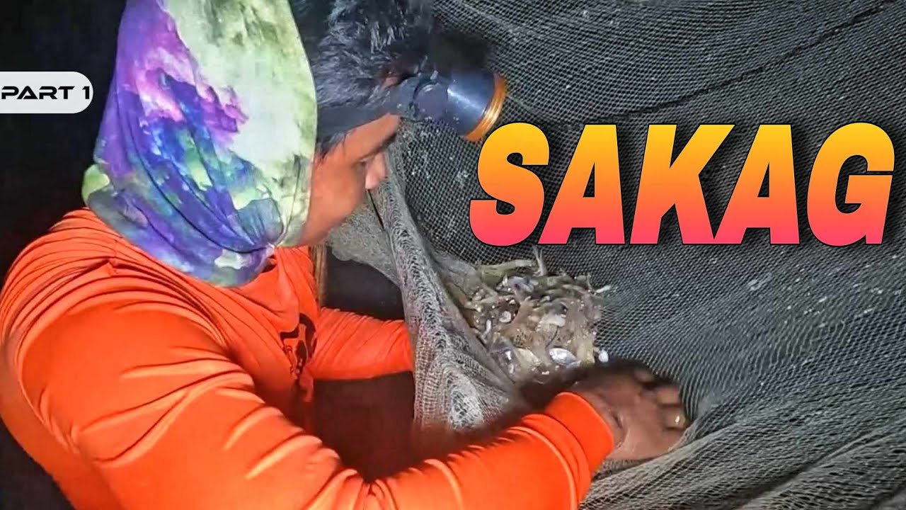 P1 - Sakag at Pangingilaw ng Alimango