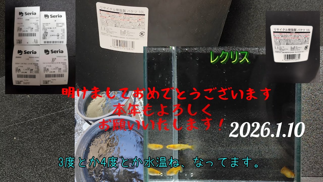 あけましておめでとうございます‼２０２６年初動画「春を待ちきれなくて」2026.1.10
