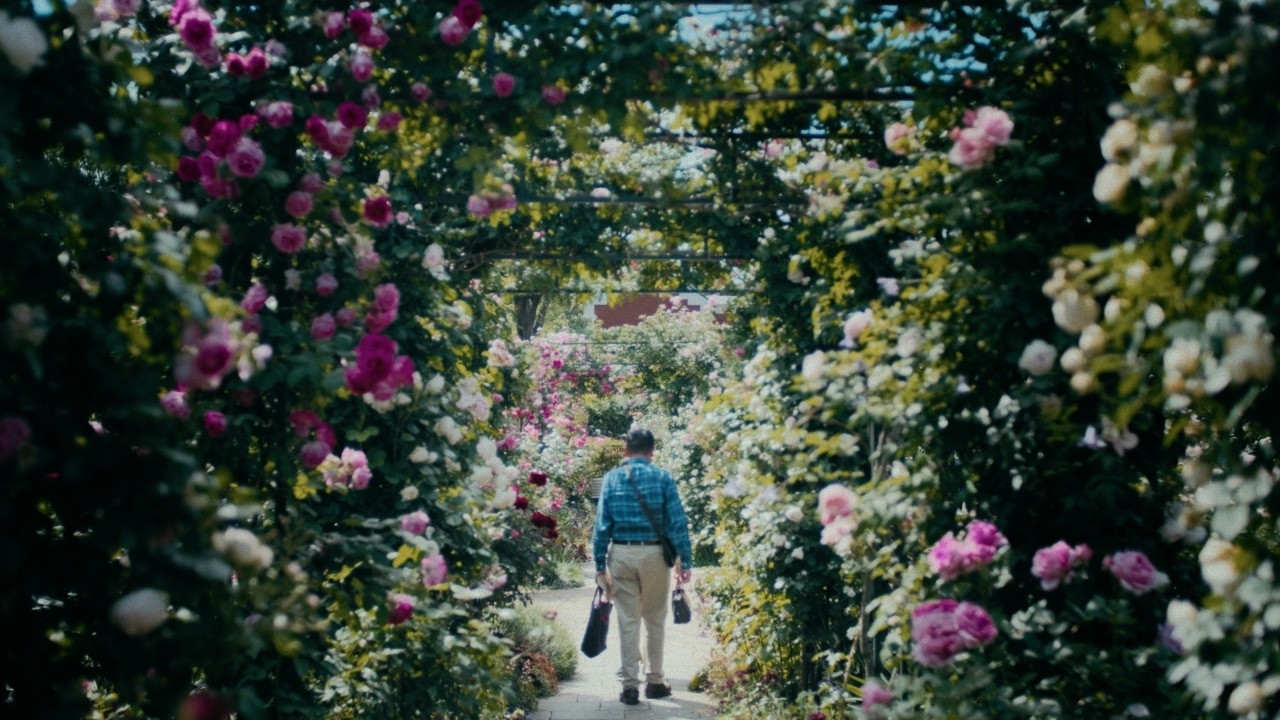 Rose in Light｜港の見える丘公園のバラ Cinematic