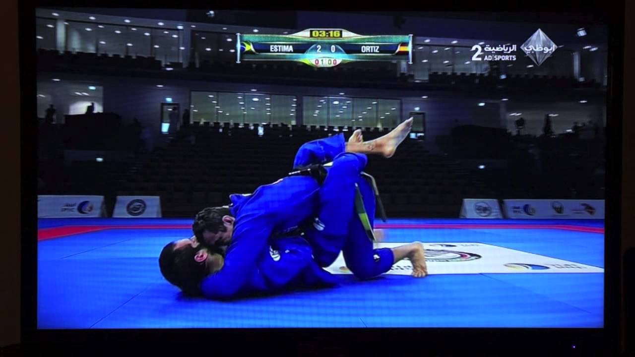 Alberto Gonzalez vs Braulio Estima WPJJ 2014 TV