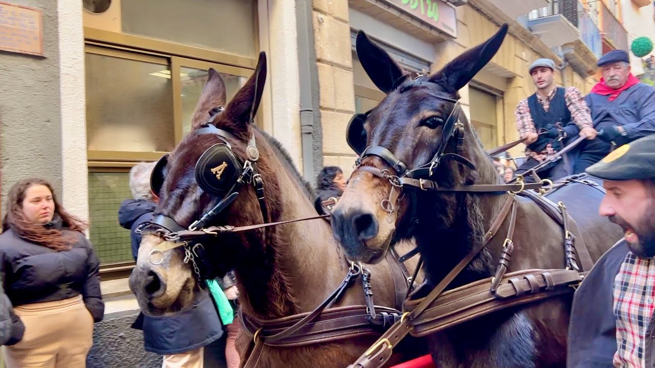 La gran pel·lícula - TRES TOMBS de SANT ANTONI 46è Edició - AMB tots els Episodis - Valls 2025