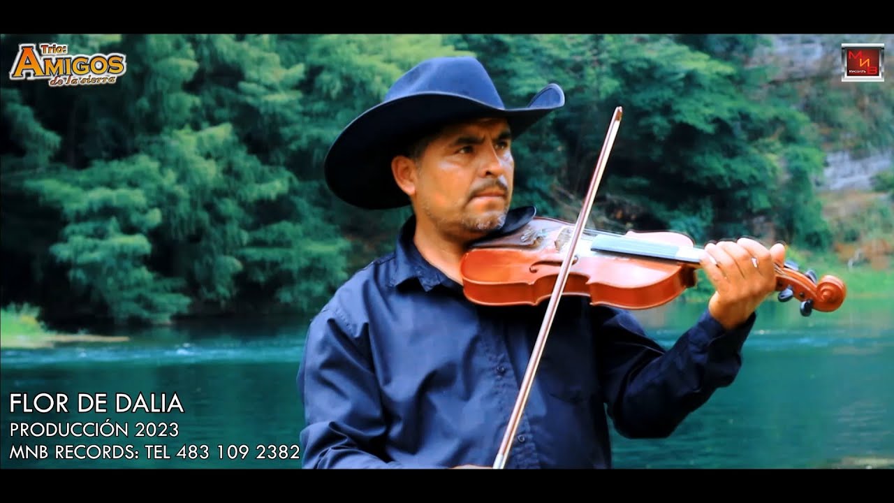 Trio AMIGOS DE LA SIERRA - Flor de Dalia 🌺 (Video Oficial) #MEGA_ESTRENO