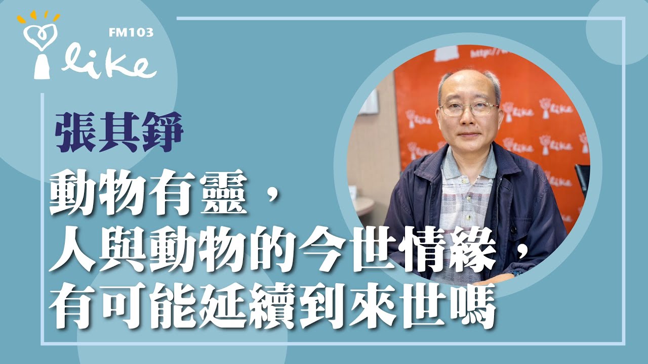 【動物有靈，人與動物的今世情緣，有可能延續到來世嗎】專訪 張其錚｜媒事來哈啦 2025.04.14