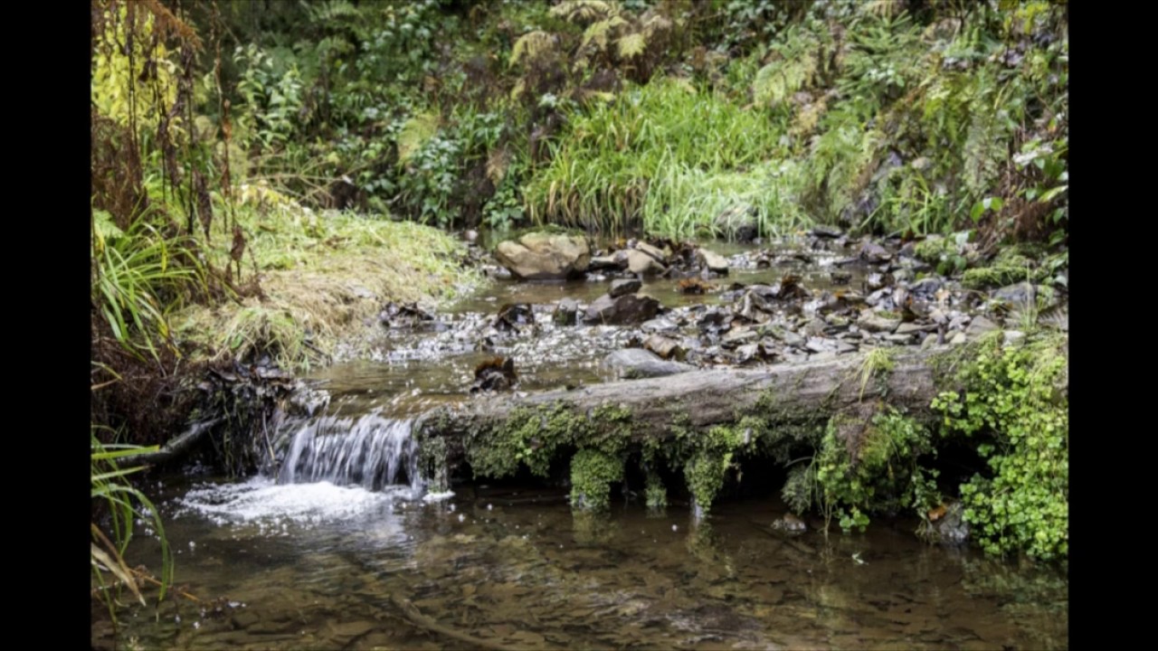 L'Eau qui pleure
