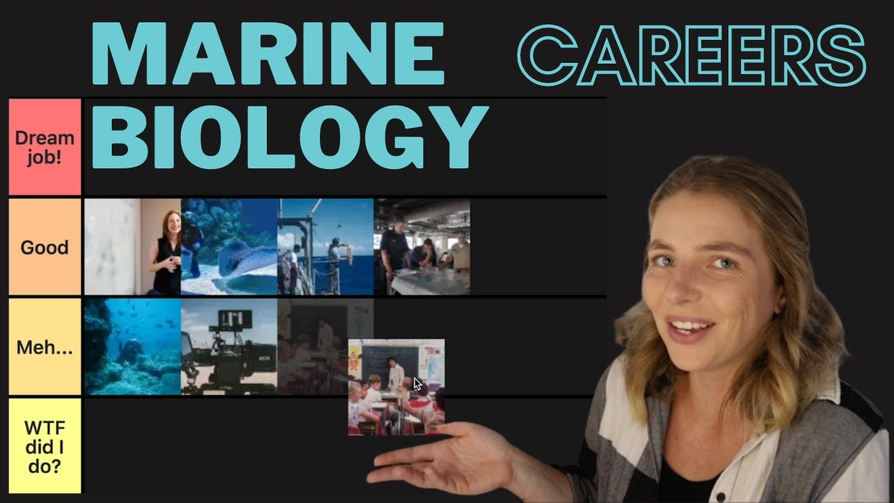 Marine biologist ranks ocean careers