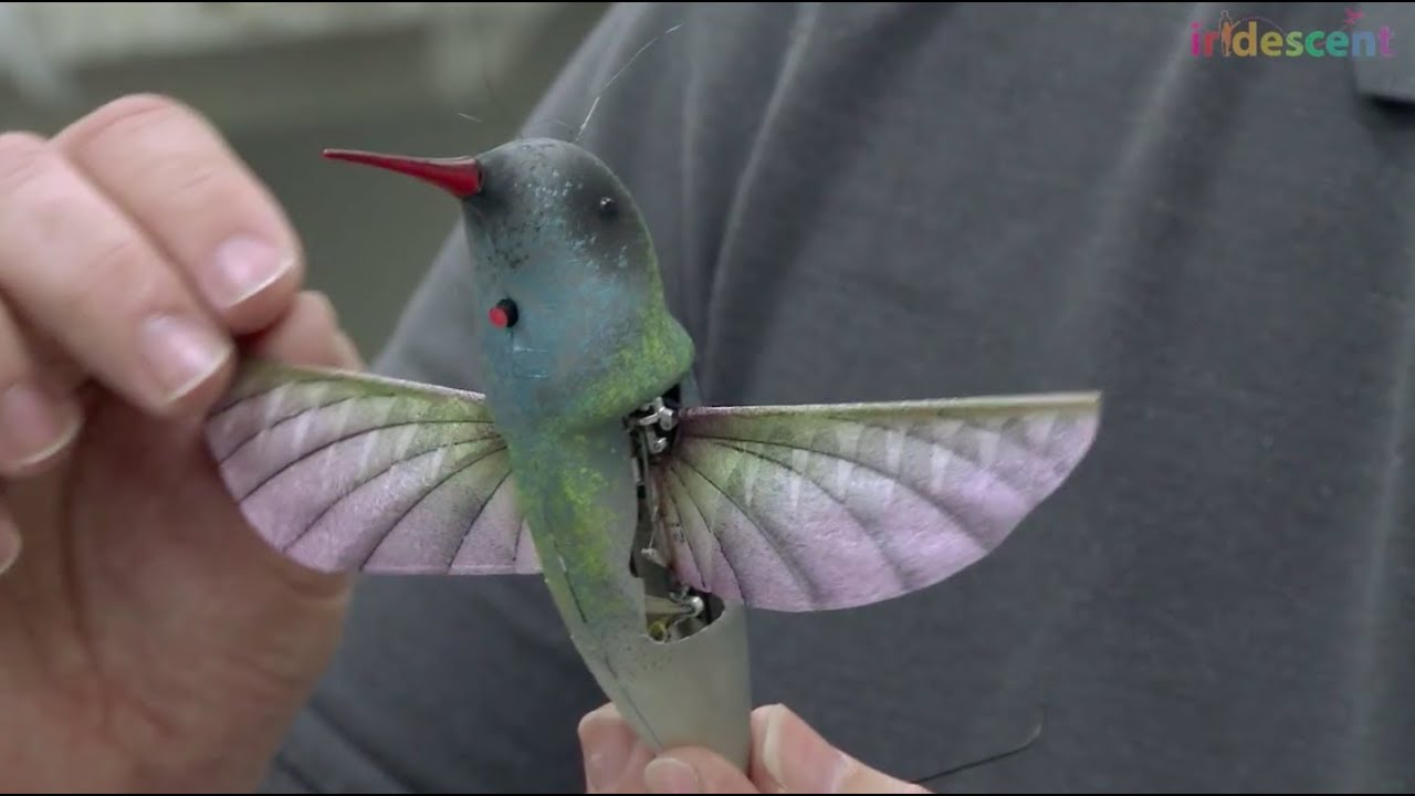 How does this hummingbird robot ornithopter fly? | STEM kids