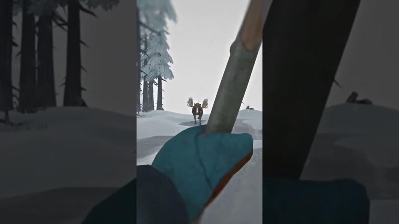 Polowanie Na Pierwszego Łosia! #survival #thelongdarkpl #tld #games #gaming
