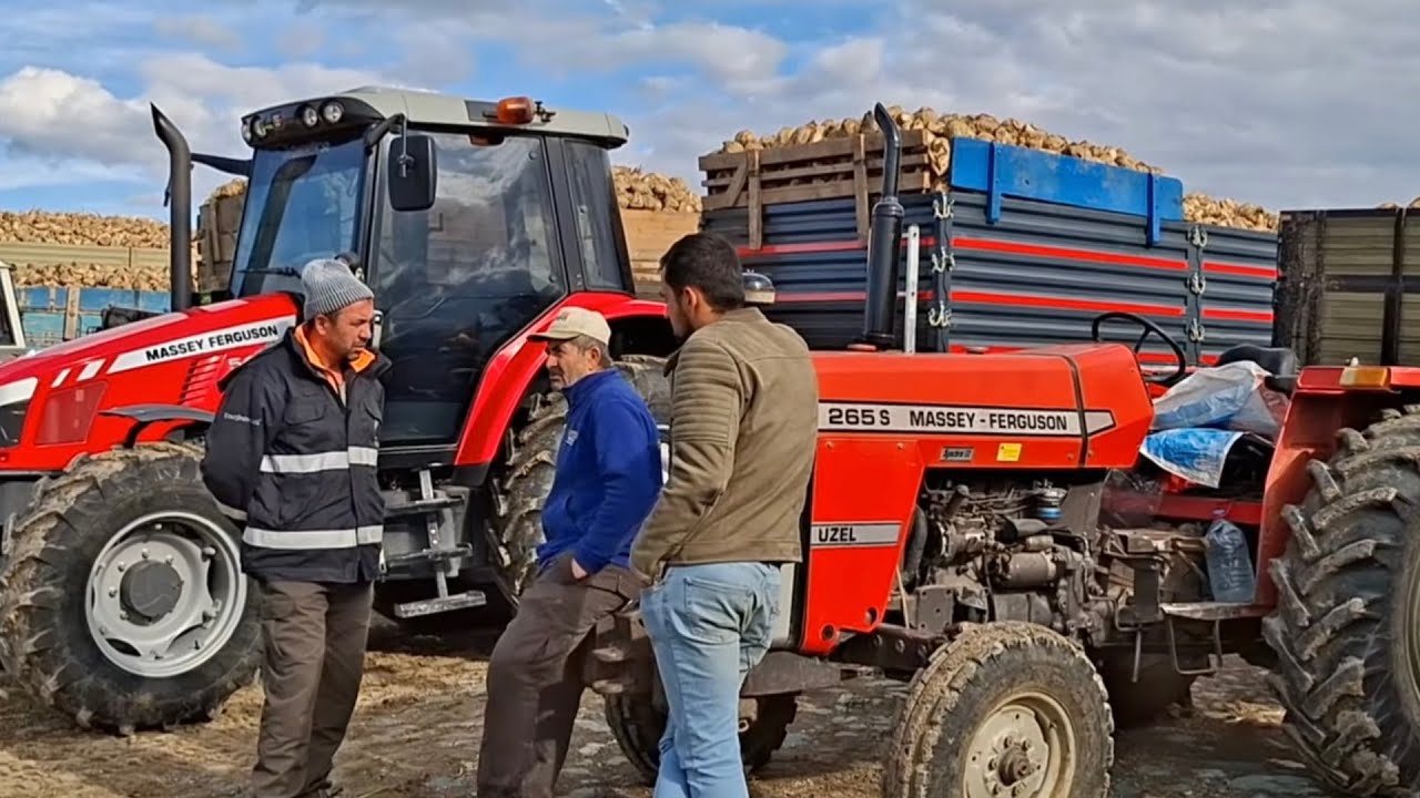 PANCAR KANTARI 2025 PANCAR TESLİMATI  KASTAMONU TAŞKÖPRÜ 