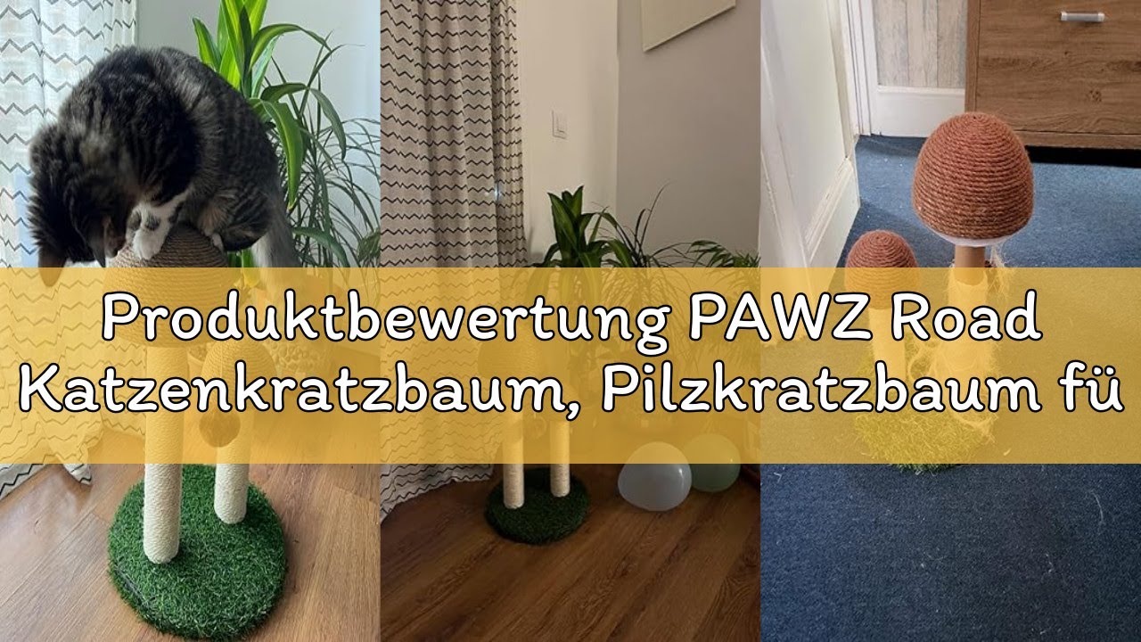 Produktbewertung PAWZ Road Katzenkratzbaum, Pilzkratzbaum für Kätzchen und kleine Katzen, natürliche