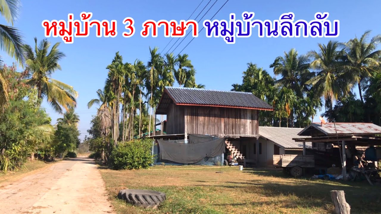 ชนบทอีสาน | หมู่บ้านลึกลับ หมู่บ้าน 3 ภาษา บ้านโสกก่อ ต.ห้วยข่า อ.บุณฑริก จ.อุบลราชธานี