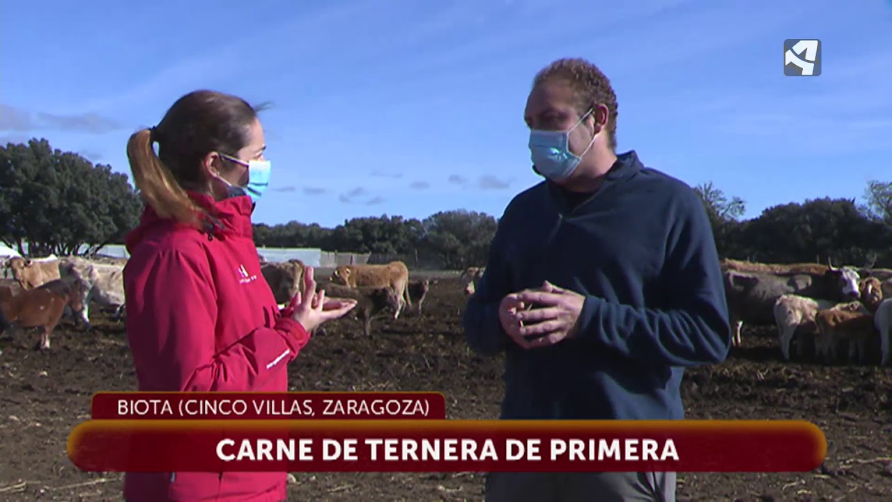 El secreto de una explotación ganadera de Biota