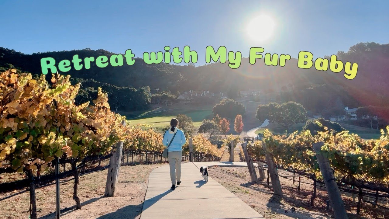 Retreat with My Fur Baby 🐶 | Carmel Valley Ranch ⛰️