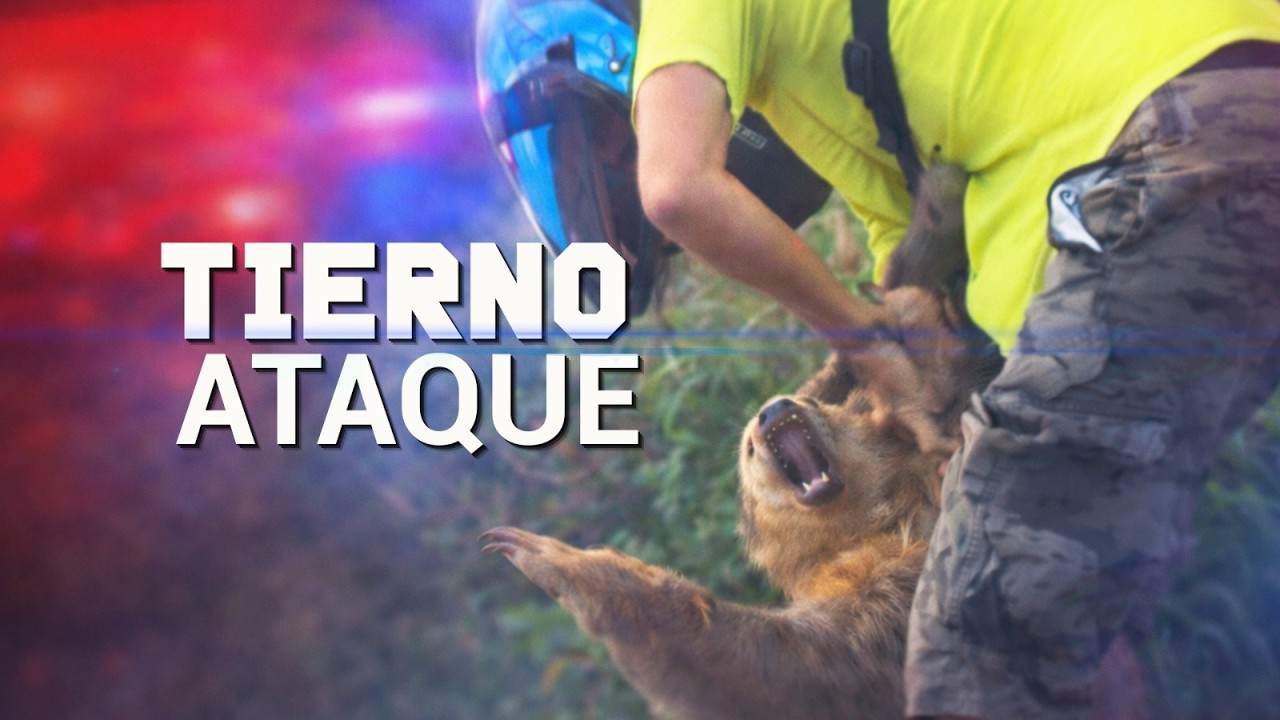 🛑EN VIVO: Noticias Repretel Edici&oacute;n Matutina 15/4/2026