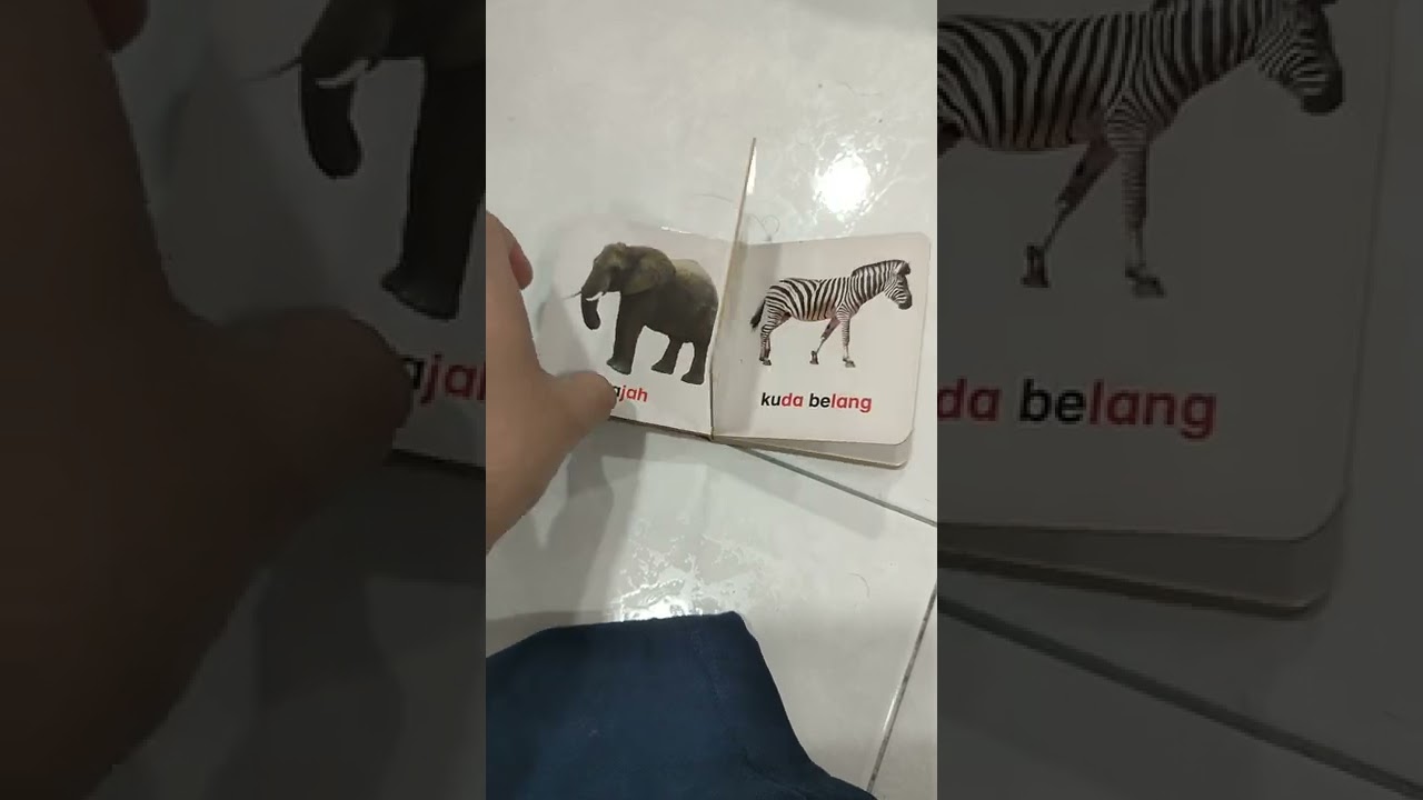 2 wild animals book
