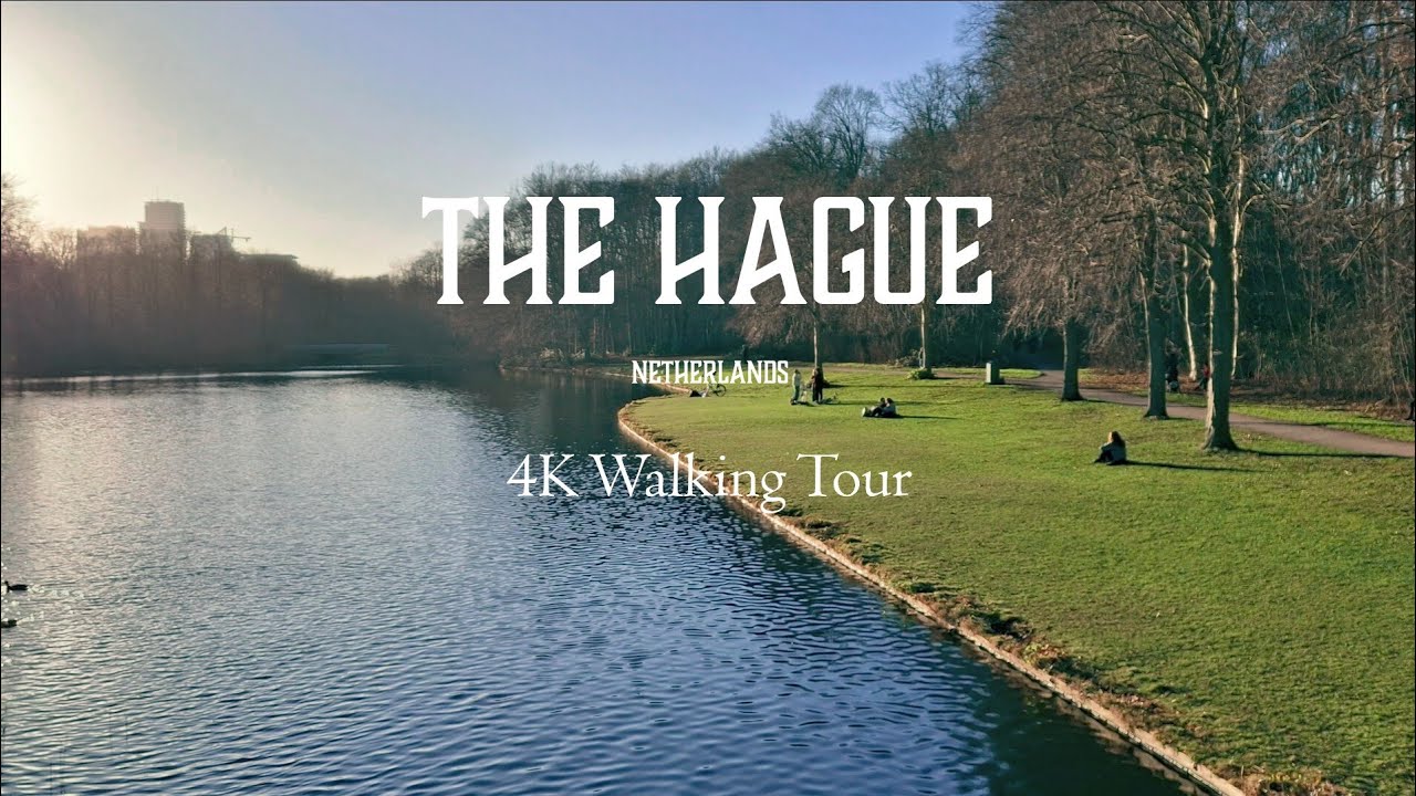 The Hague Walking Tour 4K | Real-Time City & Nature Walk in Den Haag | Haagse Bos Forest