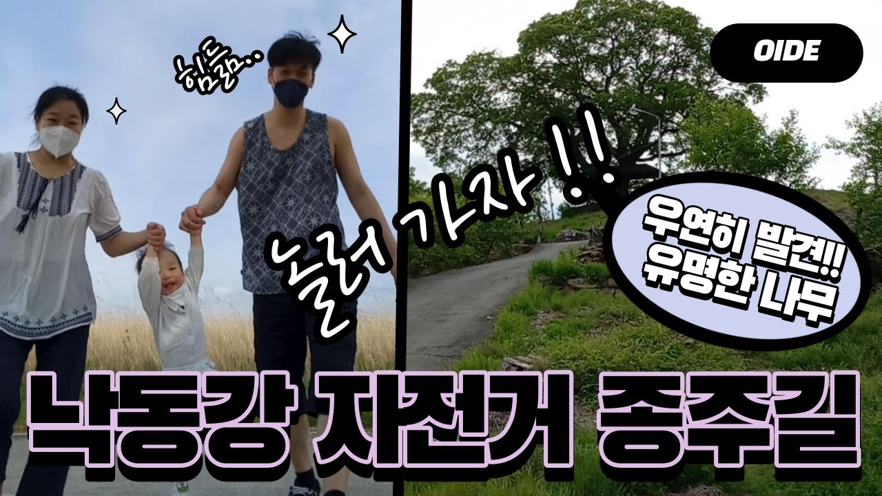 막 만 1살된 아기와 나들이 / / 낙동강 자전거 종주길