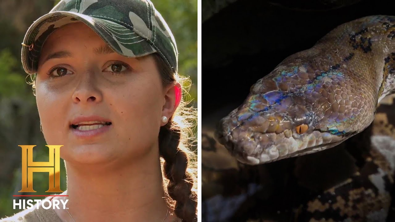 18-FOOT-LONG SERPENT Strikes Again | Swamp People: Serpent Invasion (Season 3) | History