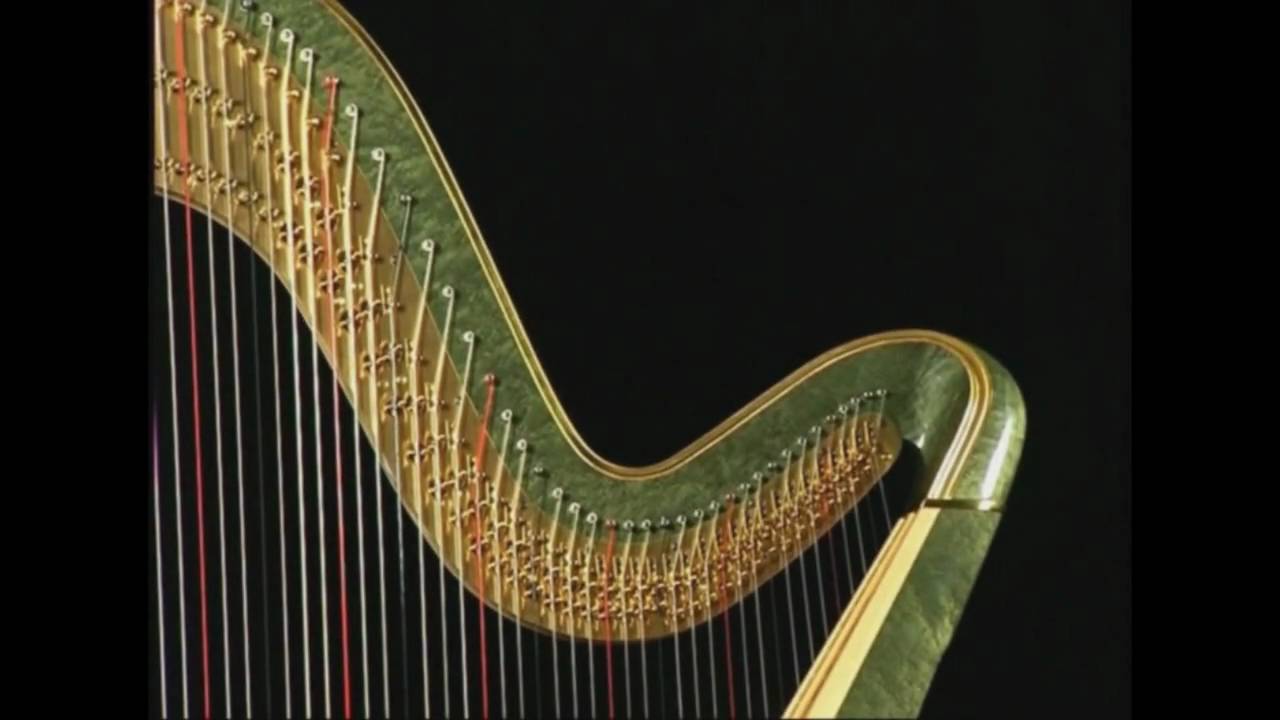 Museo dell'Arpa Victor Salvi - What is Harp ?