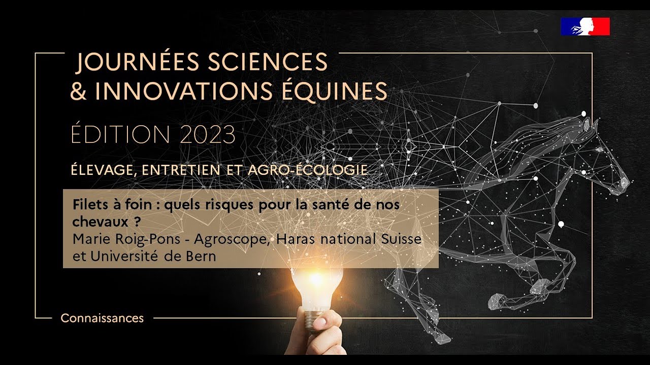 Filets à foin : quels risques pour la santé de nos chevaux ? - Marie Roig-Pons