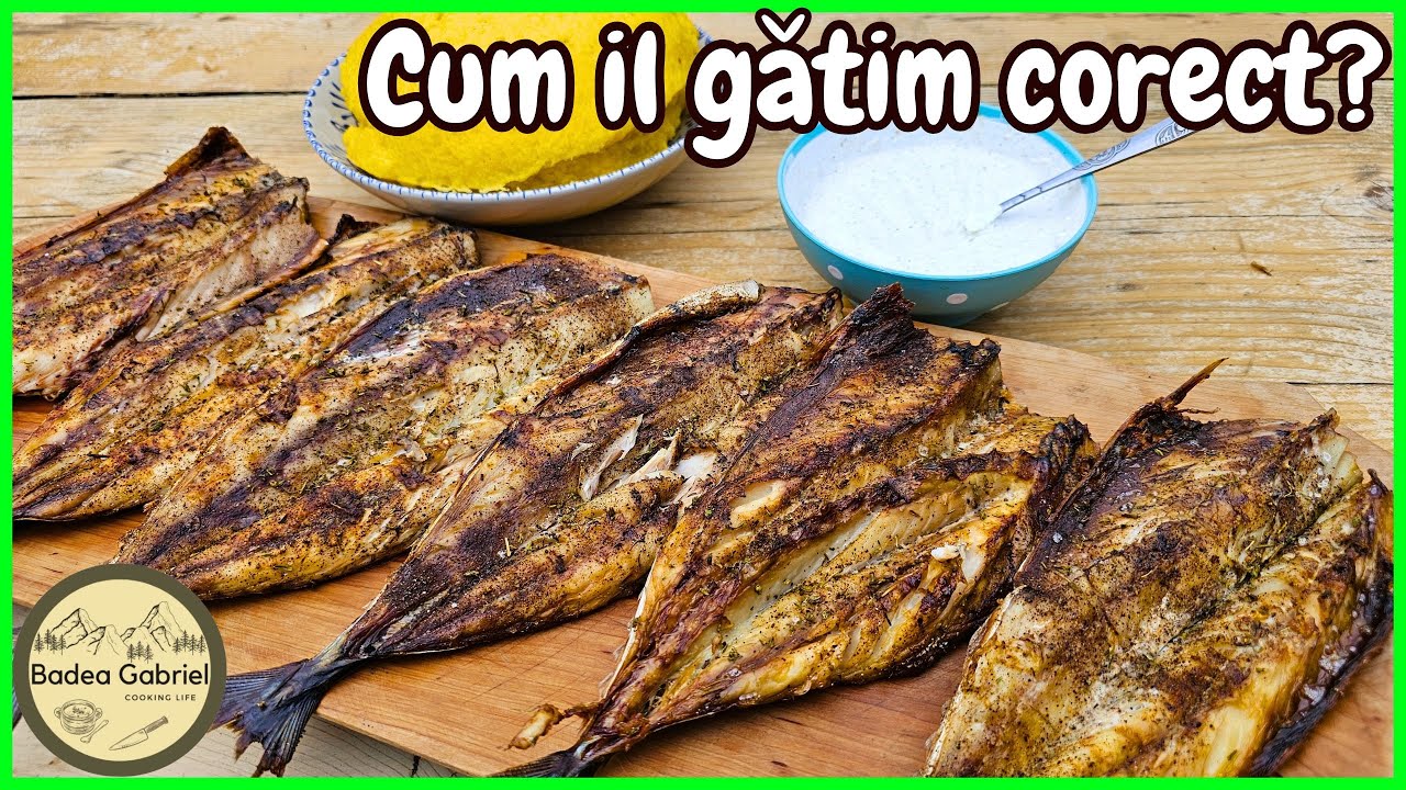 PESTE LA GRATAR - sfaturi si trucuri + Reteta SOS DE USTUROI cu SMANTANA