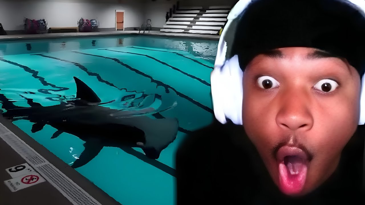 Janky Rondo Plays Sharks And Minnows *FULL GAME*