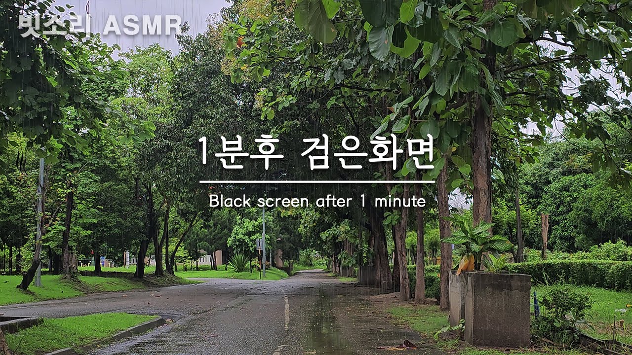 불면증 완화를 위한 공원의 부드러운 빗소리 ASMR - 1분후 검은화면, 블랙스크린