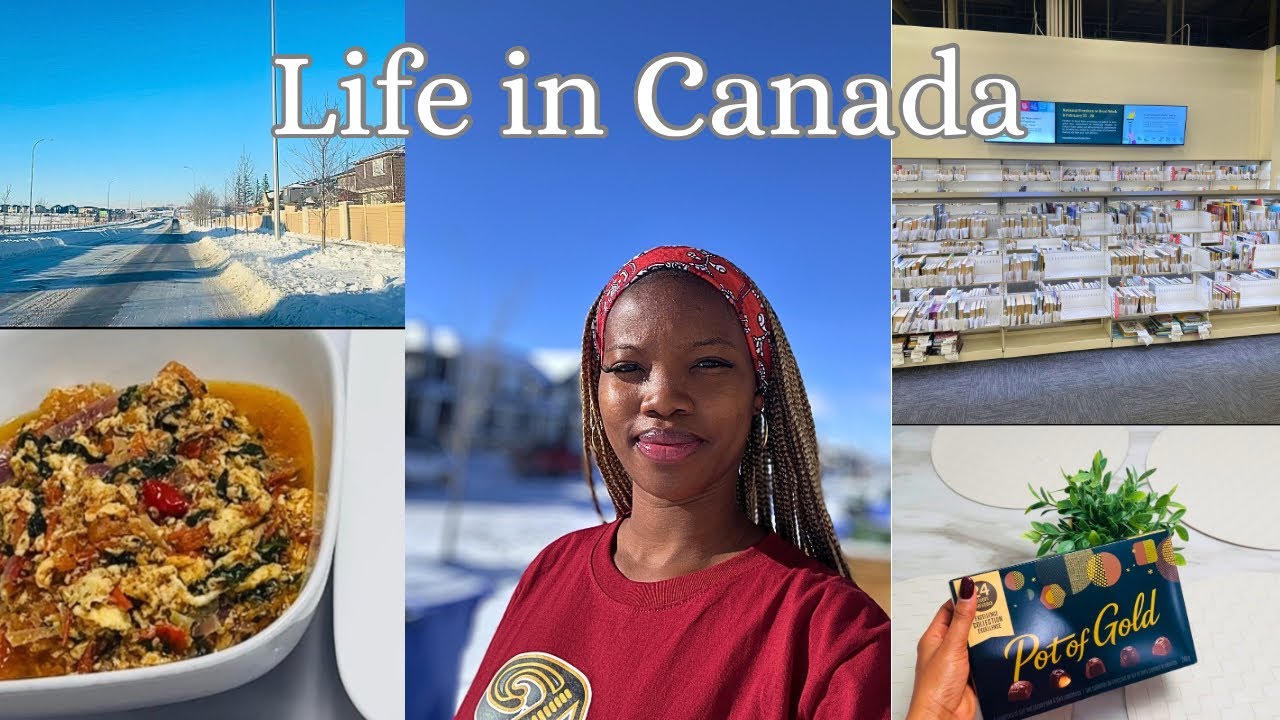 Days in My Life in Canada | Cozy Cold Winter at –23°C ❄️ | Cooking & Grocery Shopping | Silent Vlog