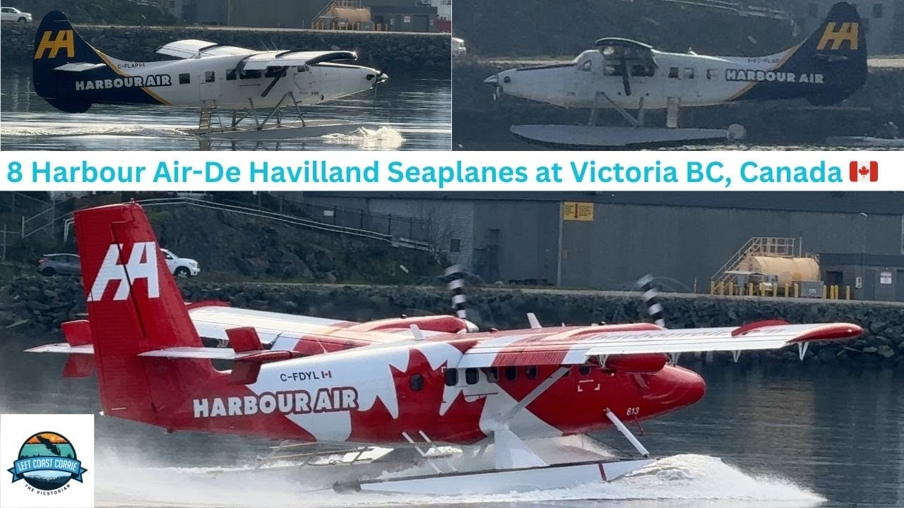 Seaplane Spectacle: Twin Otters & Classic Otters at Victoria Harbour!