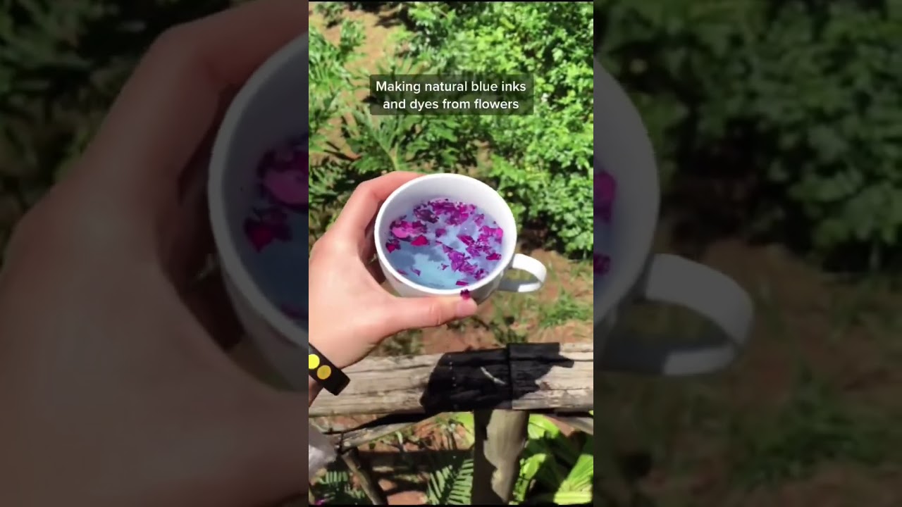 Making natural blue paint, inks and dyes from garden flowers #hanselah #naturalpaint #cottagecore