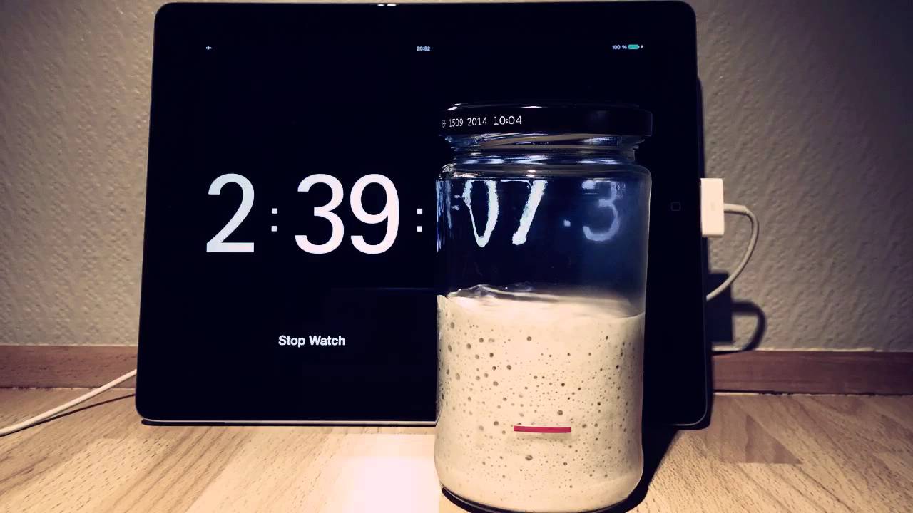 Sourdough Time Lapse