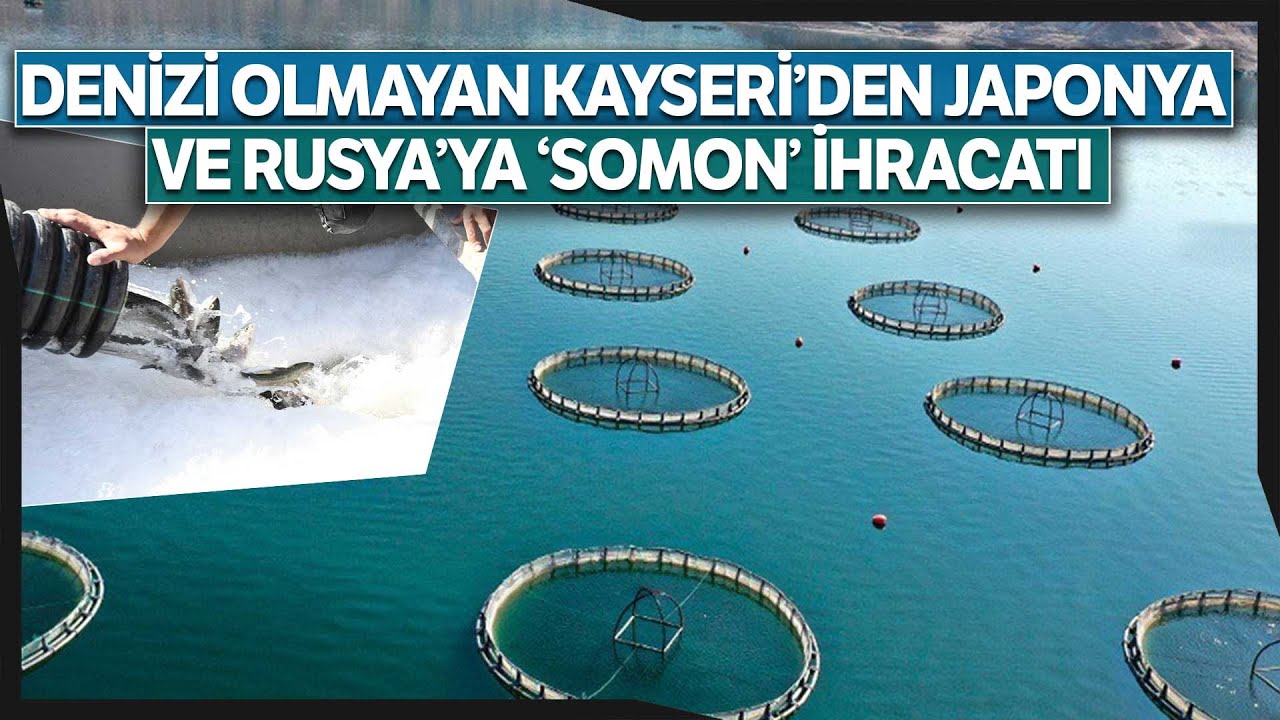 Kayseri; Türkiye’deki Alabalık Üretimi Konusunda, En Önemli Merkezi Haline Geldi