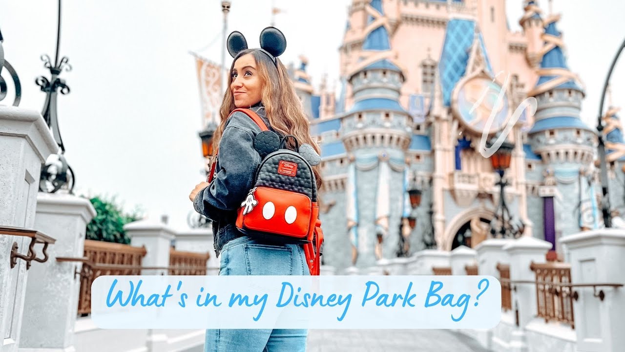 What's in my Disney Loungefly Parks bag!.........