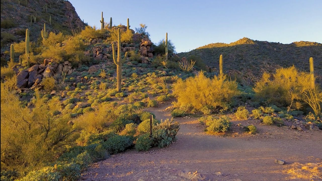 POV Hiking Video - Hike through Sonoran Desert