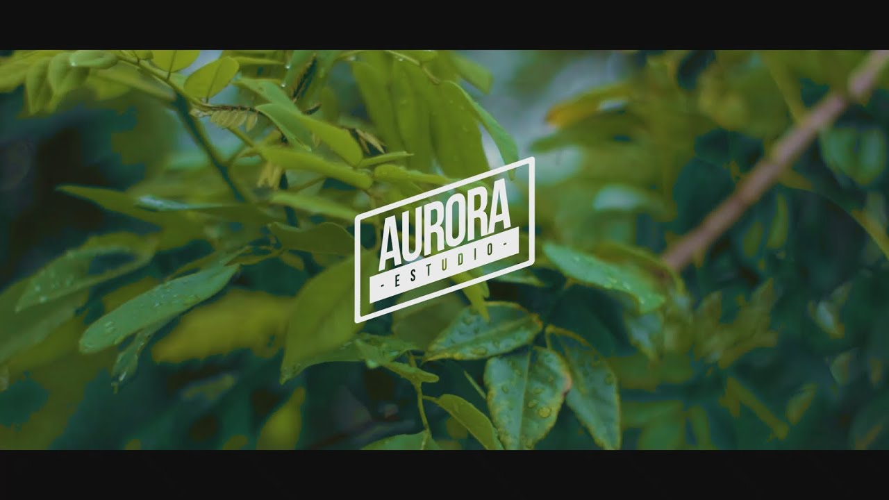 Sinsonte - David Sepulveda | Aurora Live Urab&aacute; (One Shot Video)