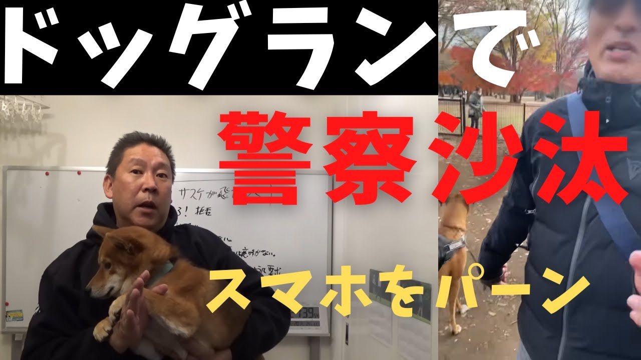 【立花孝志】ドッグランで警察沙汰※スマホをパーン！ 愛犬サスケ噛まれるトラブルが 代々木公園でリードしろおじさん登場 リードが必要なボクサー犬なら入れるなよ 事故 喧嘩 大型犬 柴犬 庭 【切り抜き】